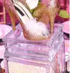 Feathery Shoes 1 150x150
